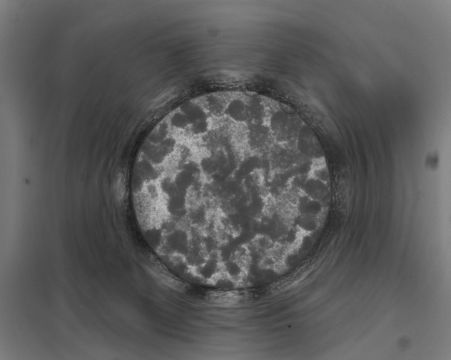 X0000097610131200803281022