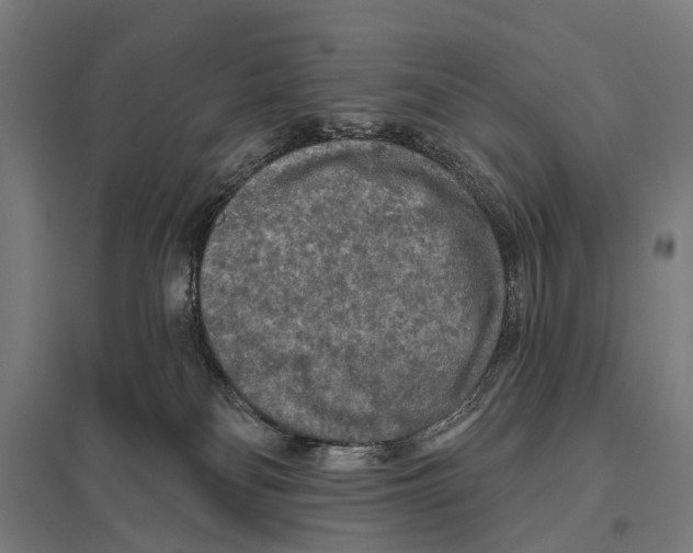 X0000097610134200803281022