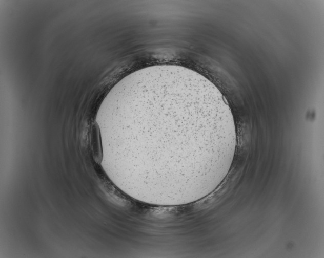 X0000097610136200803281022