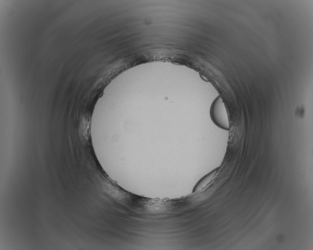 X0000097610142200803281022