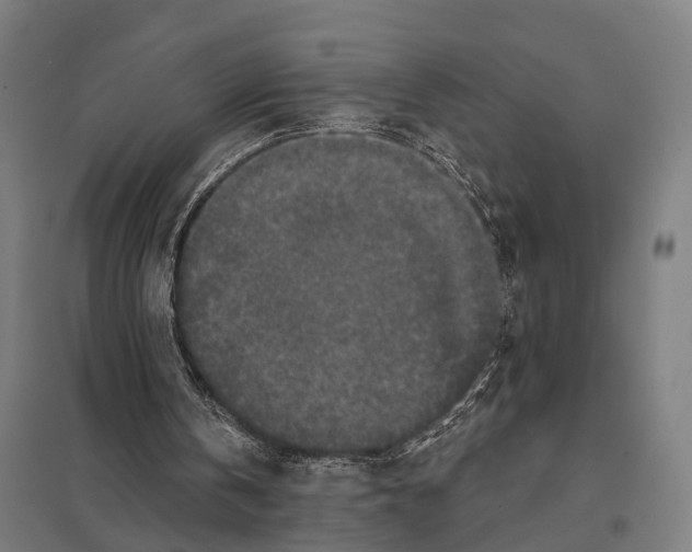 X0000097610146200803281021