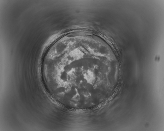 X0000097610149200803281021