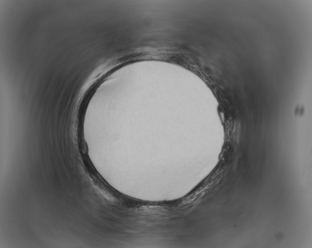 X0000097610150200803281021