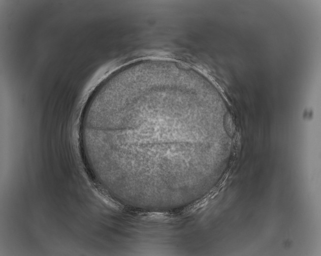 X0000097610151200803281021