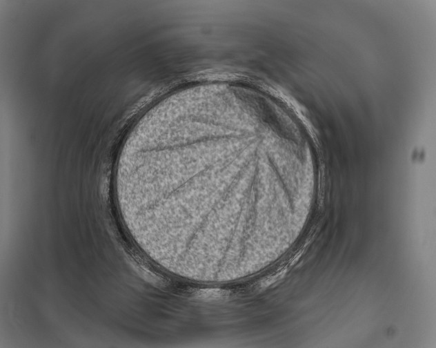 X0000097610153200803281021