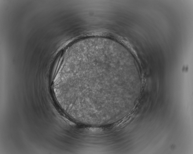 X0000097610154200803281021