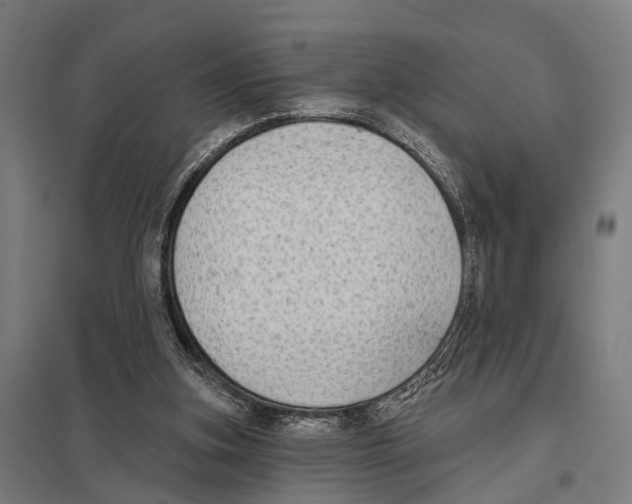 X0000097610155200803281021