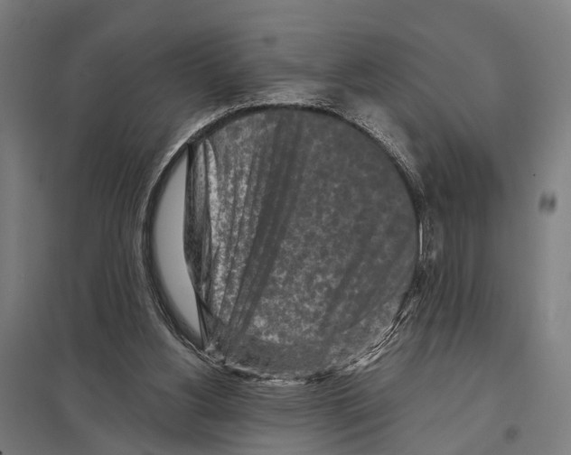 X0000097610156200803281021