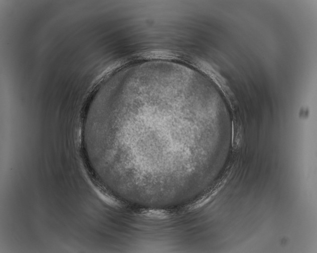 X0000097610157200803281021