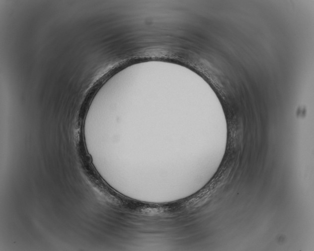 X0000097610160200803281021