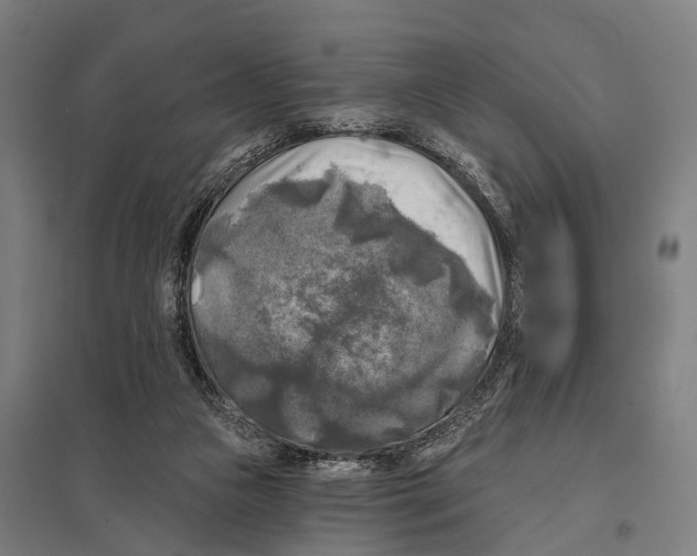 X0000097610161200803281021