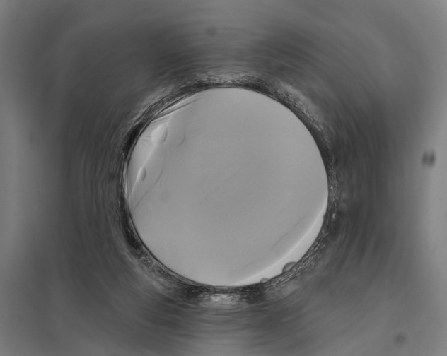 X0000097610163200803281021