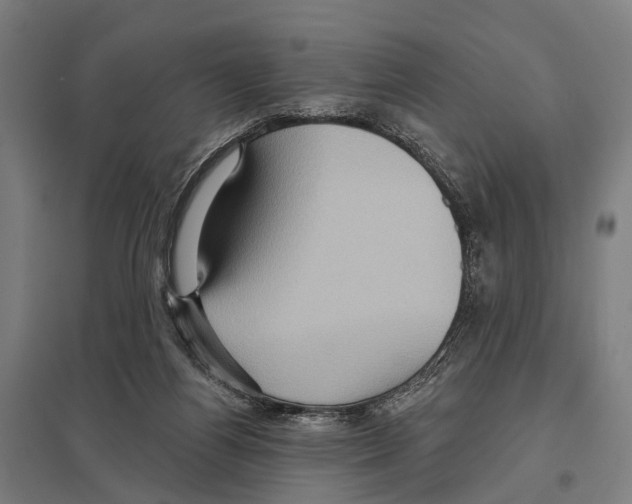 X0000097610164200803281021