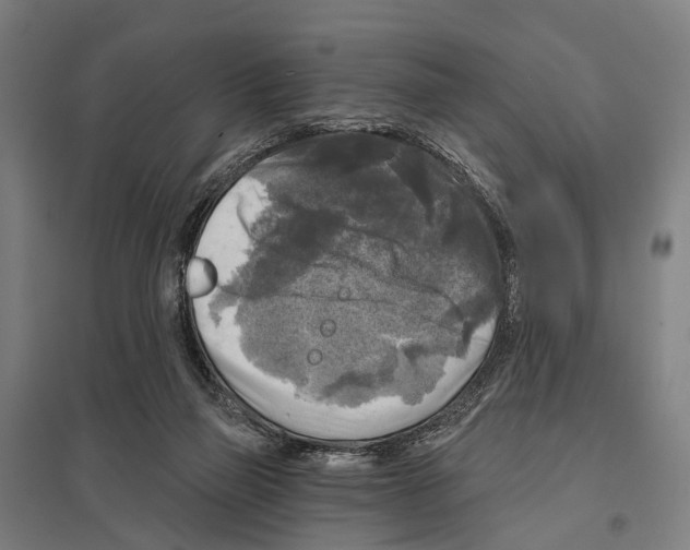 X0000097610165200803281021