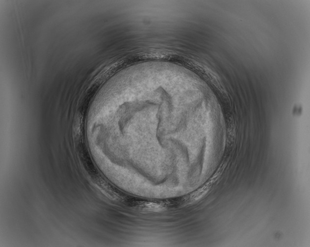 X0000097610166200803281021