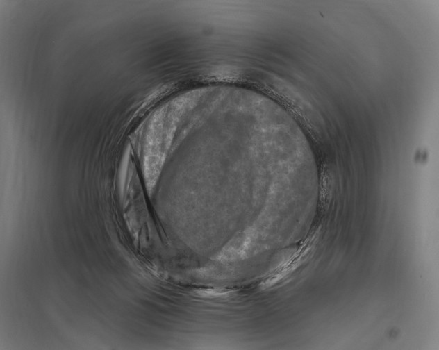 X0000097610168200803281021