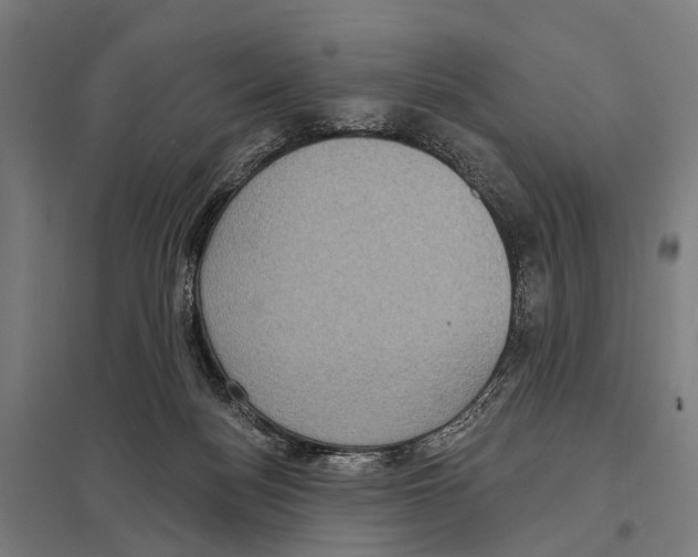 X0000097610172200803281022