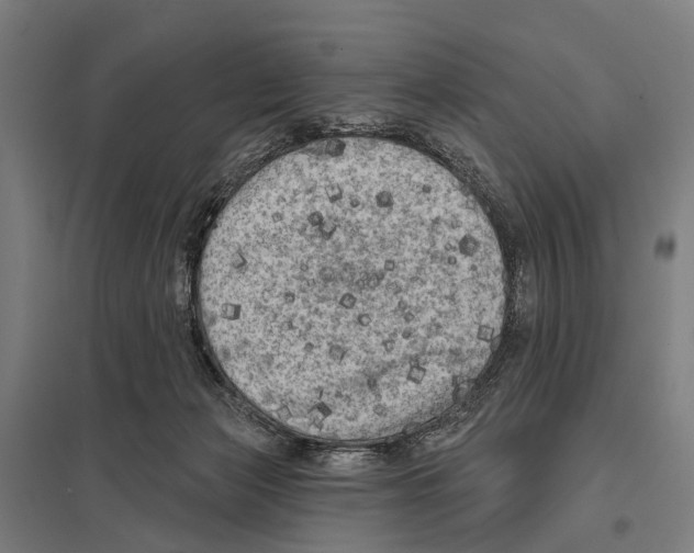 X0000097610173200803281022
