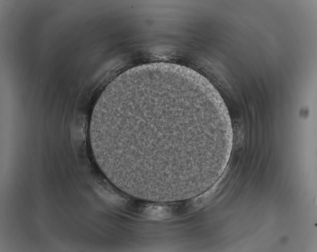 X0000097610174200803281022