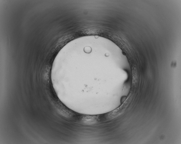 X0000097610175200803281022