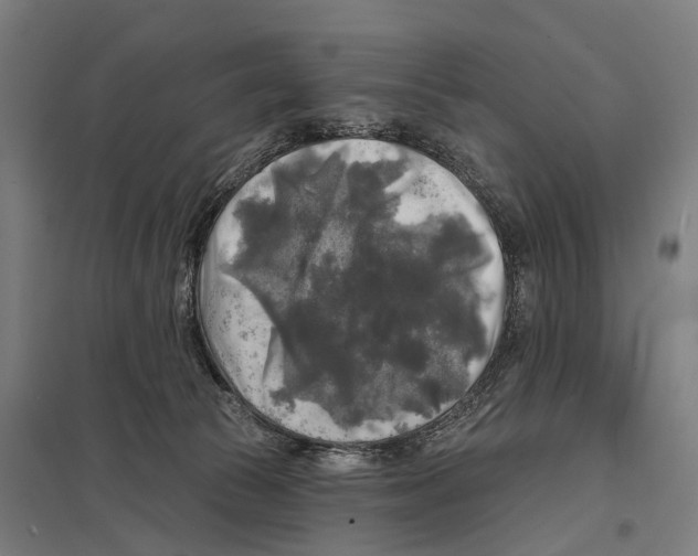 X0000097610177200803281022