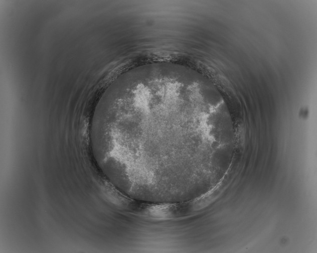 X0000097610178200803281022