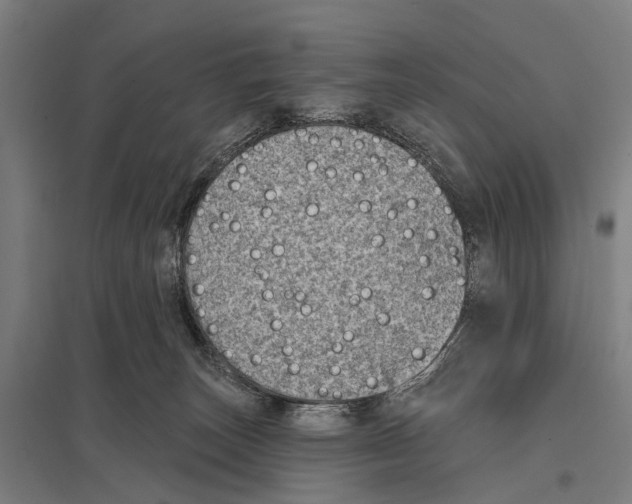 X0000097610179200803281022