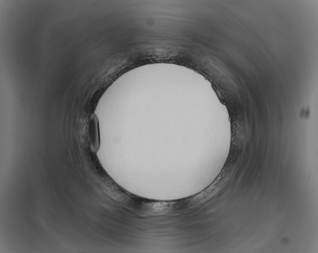 X0000097610184200803281022