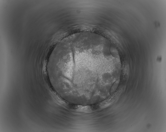 X0000097610185200803281022