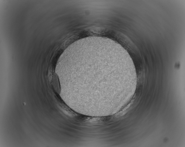 X0000097610186200803281022