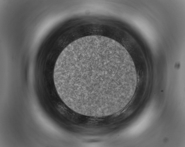 X0000097610190200803281022