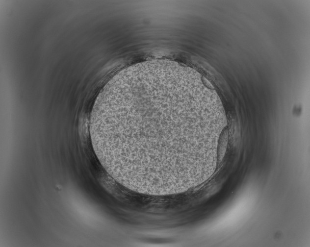 X0000097610191200803281022