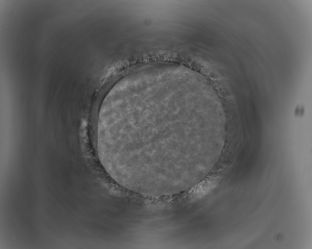 X0000097610192200803281022