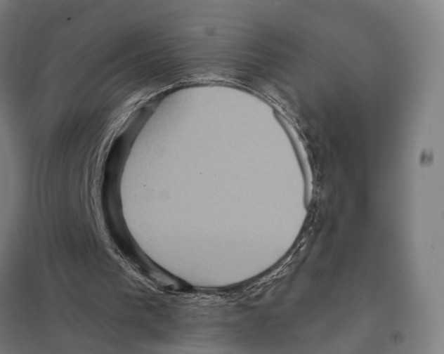 X0000097610193200803281021