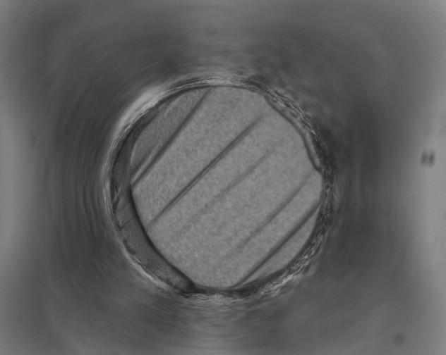 X0000097610197200803281021