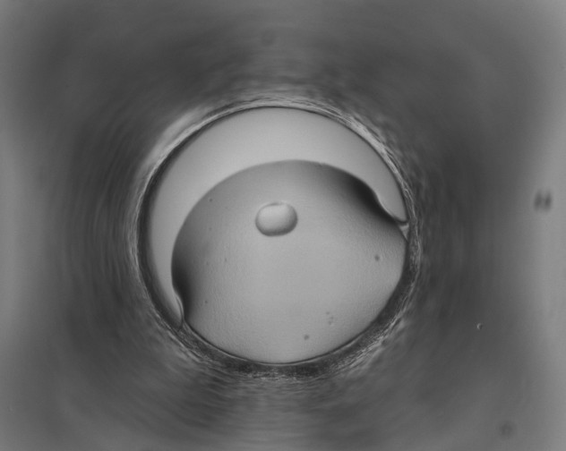 X0000097610199200803281021