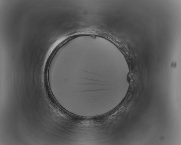 X0000097610200200803281021