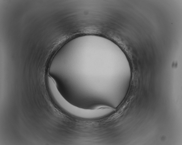 X0000097610201200803281021