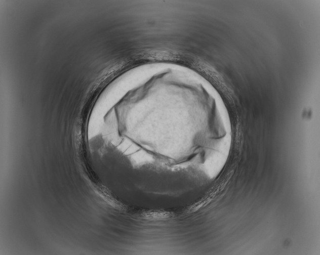 X0000097610202200803281021