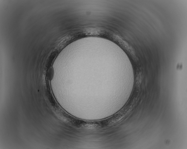 X0000097610209200803281021