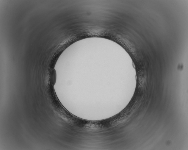 X0000097610211200803281021