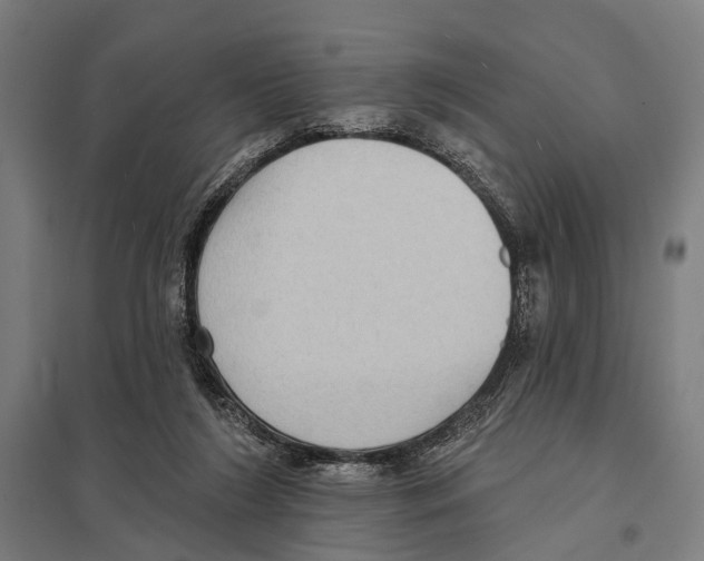 X0000097610212200803281021