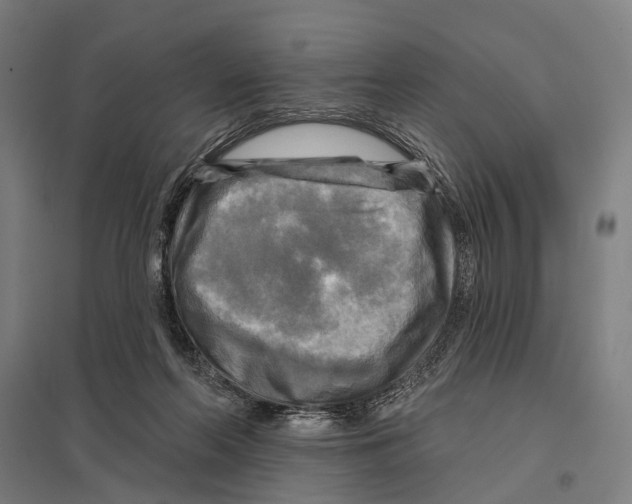 X0000097610214200803281021