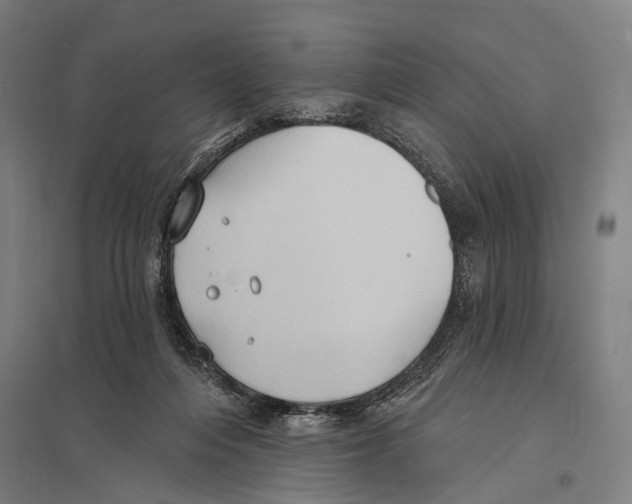 X0000097610216200803281021