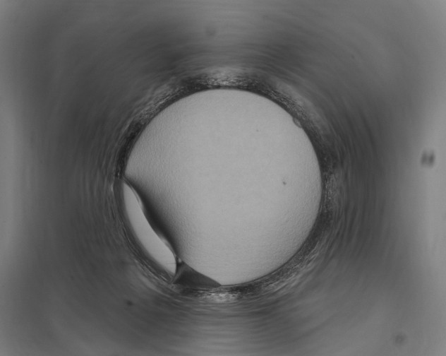 X0000097610217200803281021