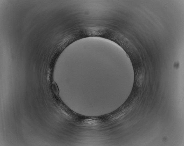 X0000097610219200803281021