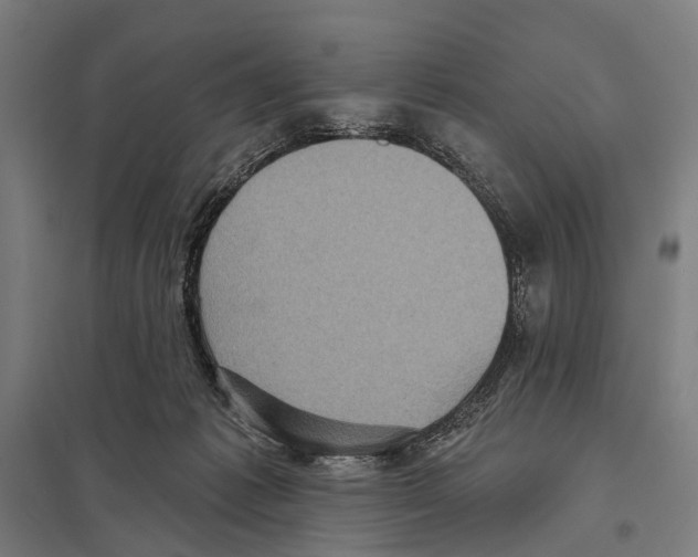 X0000097610221200803281021