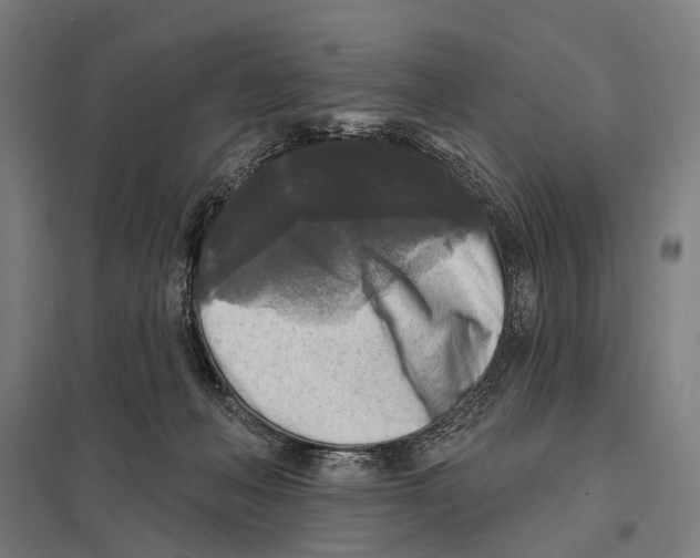 X0000097610222200803281021