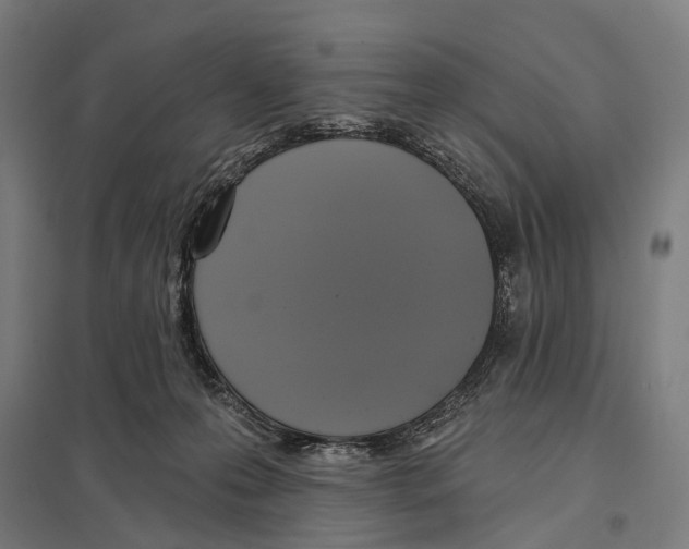 X0000097610223200803281021