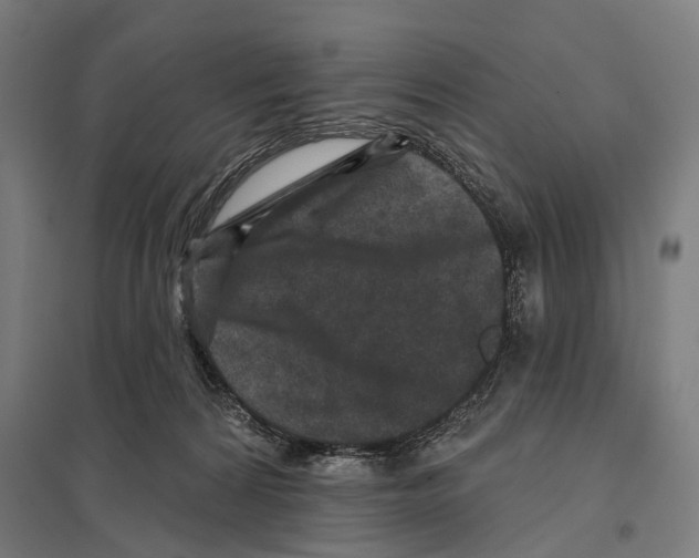 X0000097610224200803281021